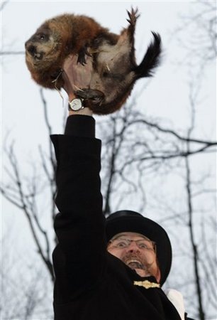 [groundhog[3].jpg]