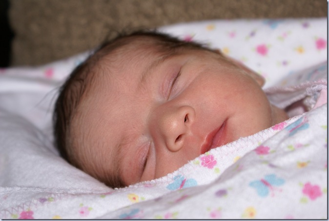 Taylor Newborn 008