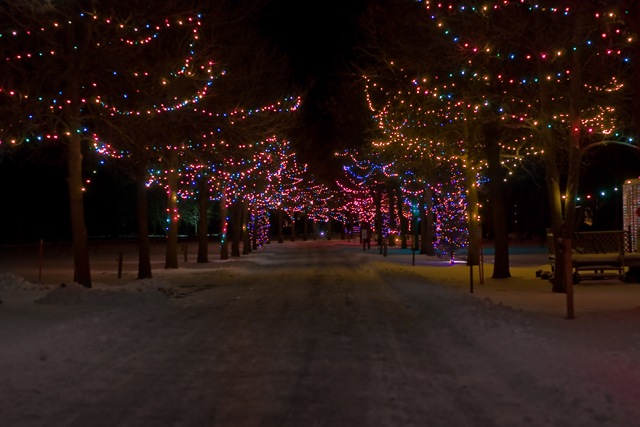 [DSC08706-2[3].jpg]