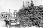 Daniel Greenough on cart