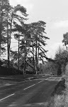 Reading Road