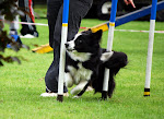 DSC_9813#001.jpg DSC_9813#001.jpg