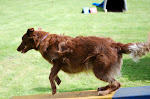 DSC_9786#001.jpg