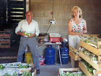 Stan Lynch assisted by Sheila Corcoran, 1989 or 1990