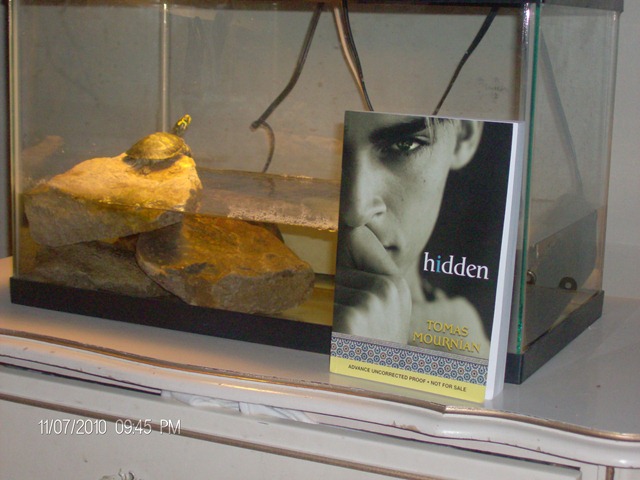 [HiddenInTheWild0054.jpg]