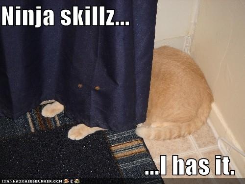 [funny_pictures_curtain_ninja_cat_Ninjas-s500x375-27583-580[2].jpg]
