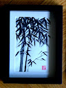 Bambusz kép bamboo picture