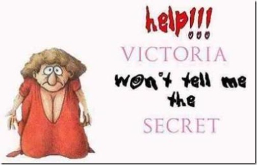 victoria 3