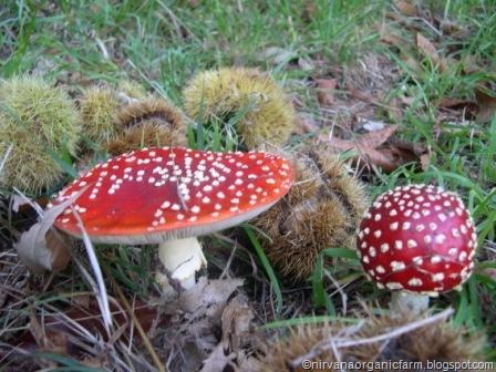 [autumn 06 067[9].jpg]
