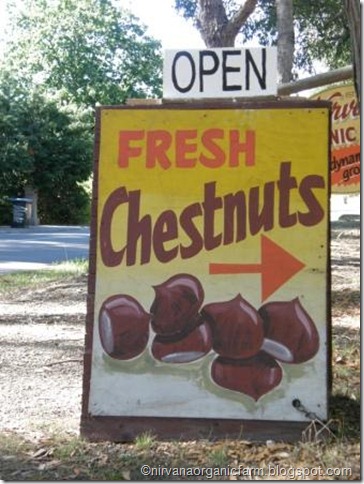 chestnut sign