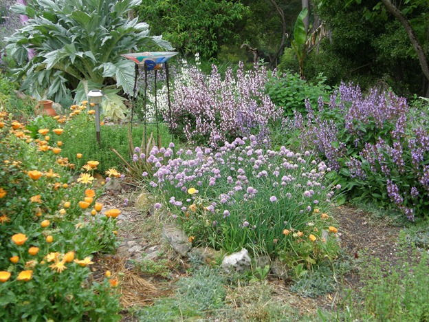 [Nov garden 2010 026[3].jpg]