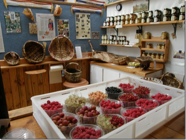 Shop 005