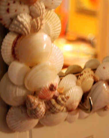 [shells 007[4].jpg]