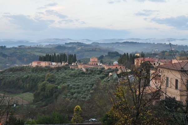 DSC_0251.JPG