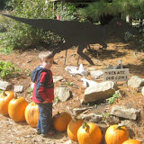 Fall 2009
