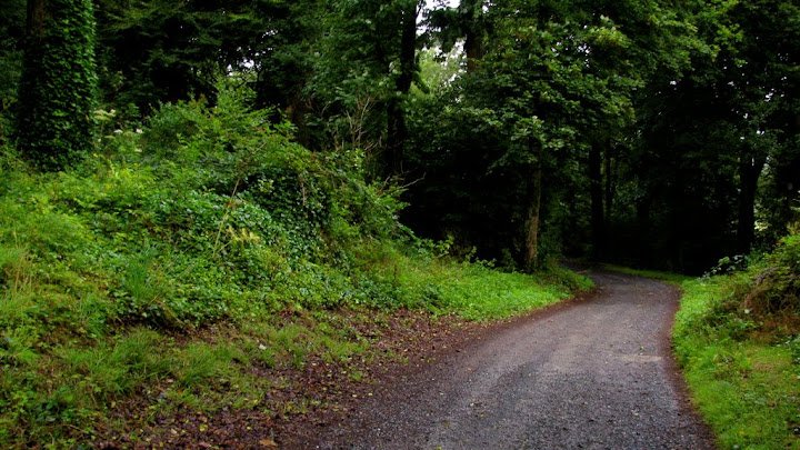 The beginning of the path