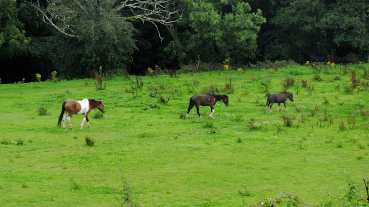 Outside of the village