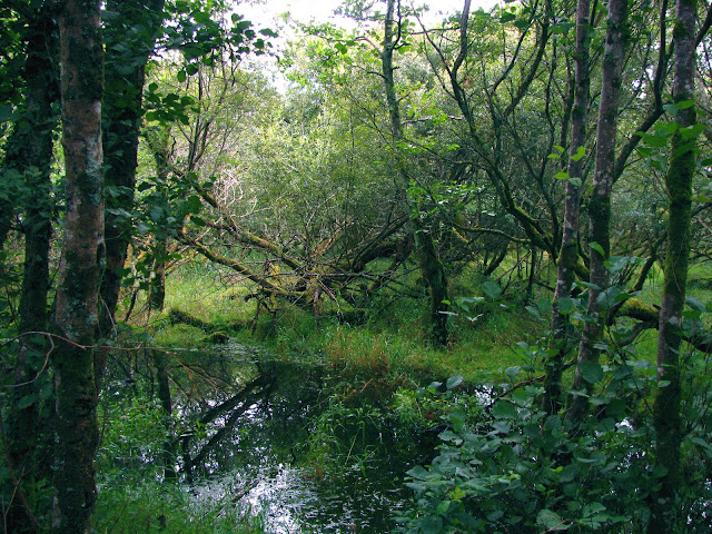 Killarney National Park