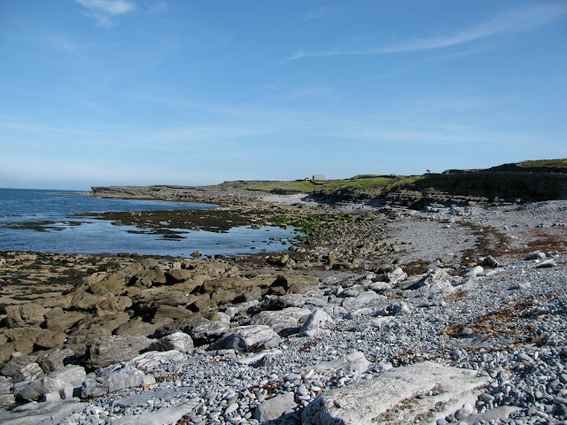 Near the fossiliferous beach