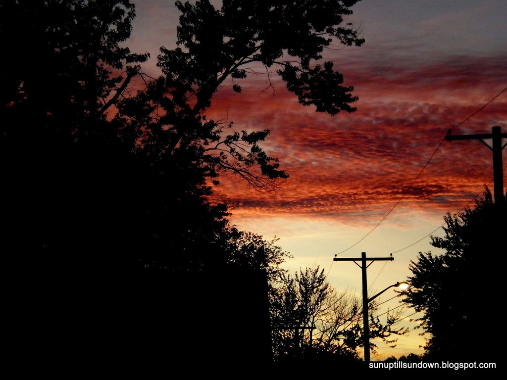 [AnotherSuburbanSunset20082.jpg]