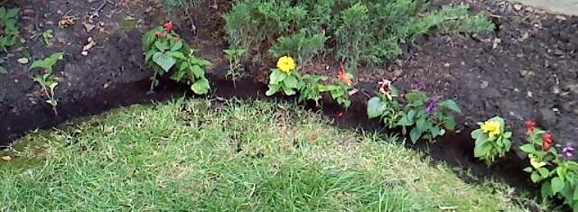 [garden[2].jpg]
