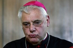 German Bishop Gerhard Ludwig Mueller