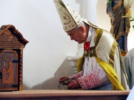 WILLIAMSON3