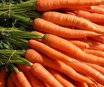 [carrots[2].jpg]