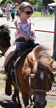 IMG_4211 IMG_4211
