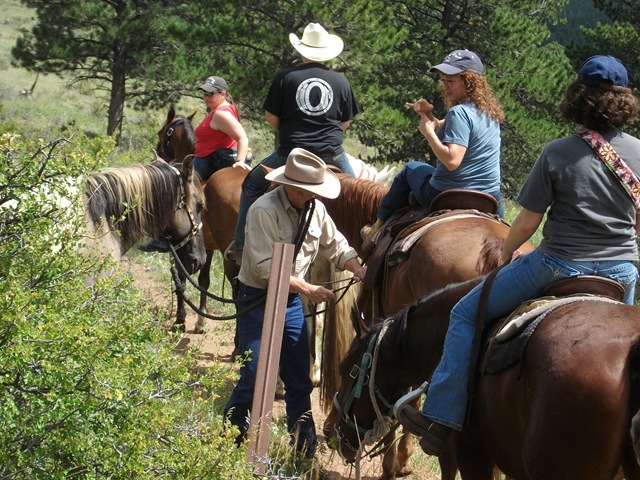 [Equi-Leah 144[3].jpg]