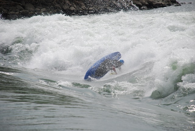 [DSC_0590[7].jpg]