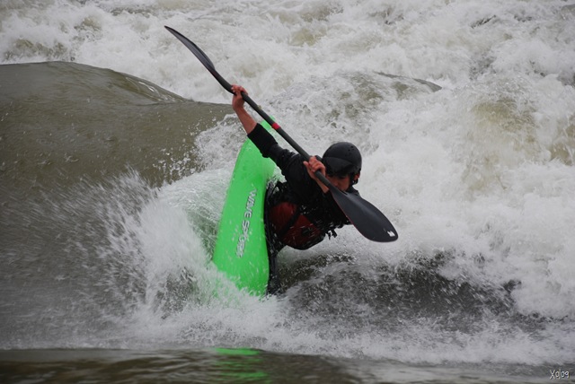 [DSC_0750[8].jpg]