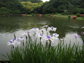 large imageへ