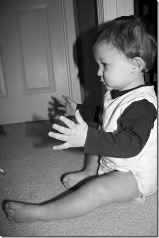 IMG_3848bw IMG_3848bw