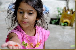 DSC_3804 DSC_3804