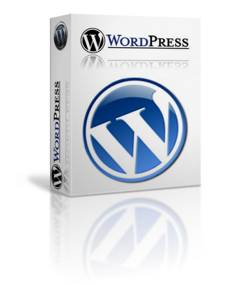 Wordpress 2.8.6