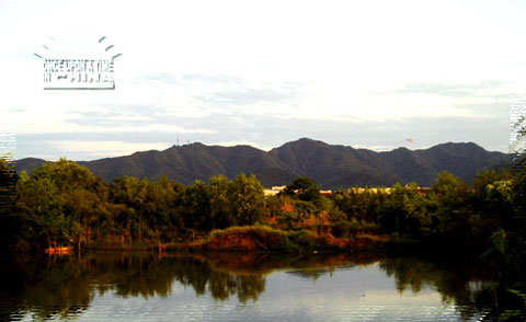 Xixi National Wetland Park, Hangzhou, Zhejiang, China Xixi National Wetland Park, Hangzhou, Zhejiang, China