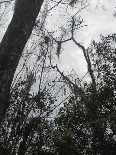 external image Picture%20018.jpg