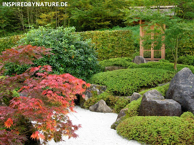 inspiredbynature.de - japangarten - gartengestaltung firma