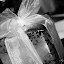 IMG_1019.jpg