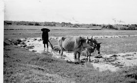 http://lh5.ggpht.com/_ITNhx4_mylE/TARaGkoiZII/AAAAAAAAA4Y/ARTg7-n6n7o/s640/Cochinchine3-1949.jpg