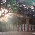 La Marina Espai Natural