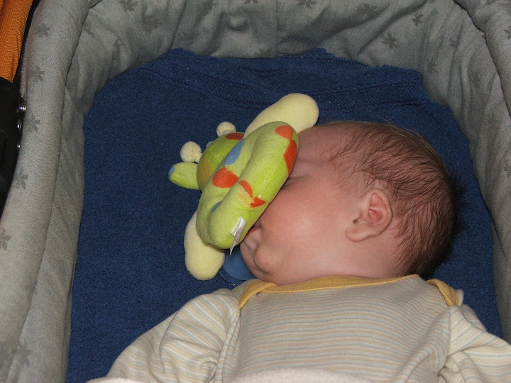 DSCF7756.JPG
