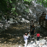 IMG_8262.JPG