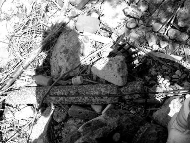 Río junto al basural nov 08 (4)