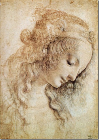 Leonardo Da Vinci Dibujos (7)