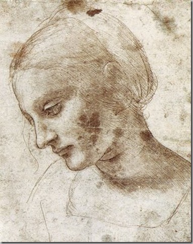 Leonardo Da Vinci Dibujos (6)