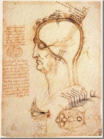Leonardo Da Vinci Dibujos (1)