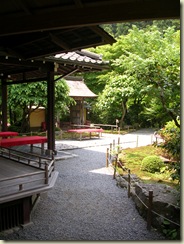 DSCN8967