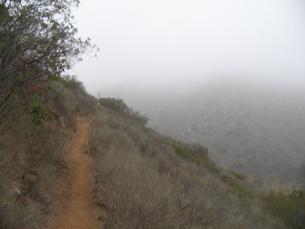 [pctr50k2007[4].jpg]